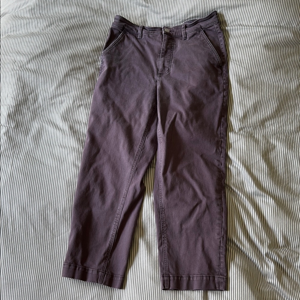 Everlane Dark Grey Straight Cropped Pants Women’s Size 10